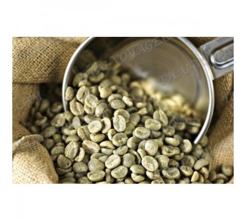 Green Slimming Coffee - TV001570